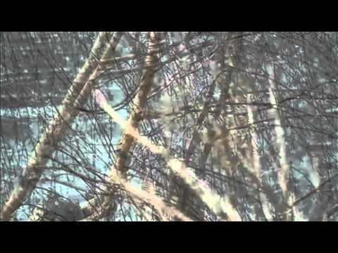Ranker Video