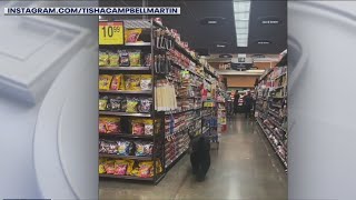 Bear spotted inside grocery store in Porter Ranch