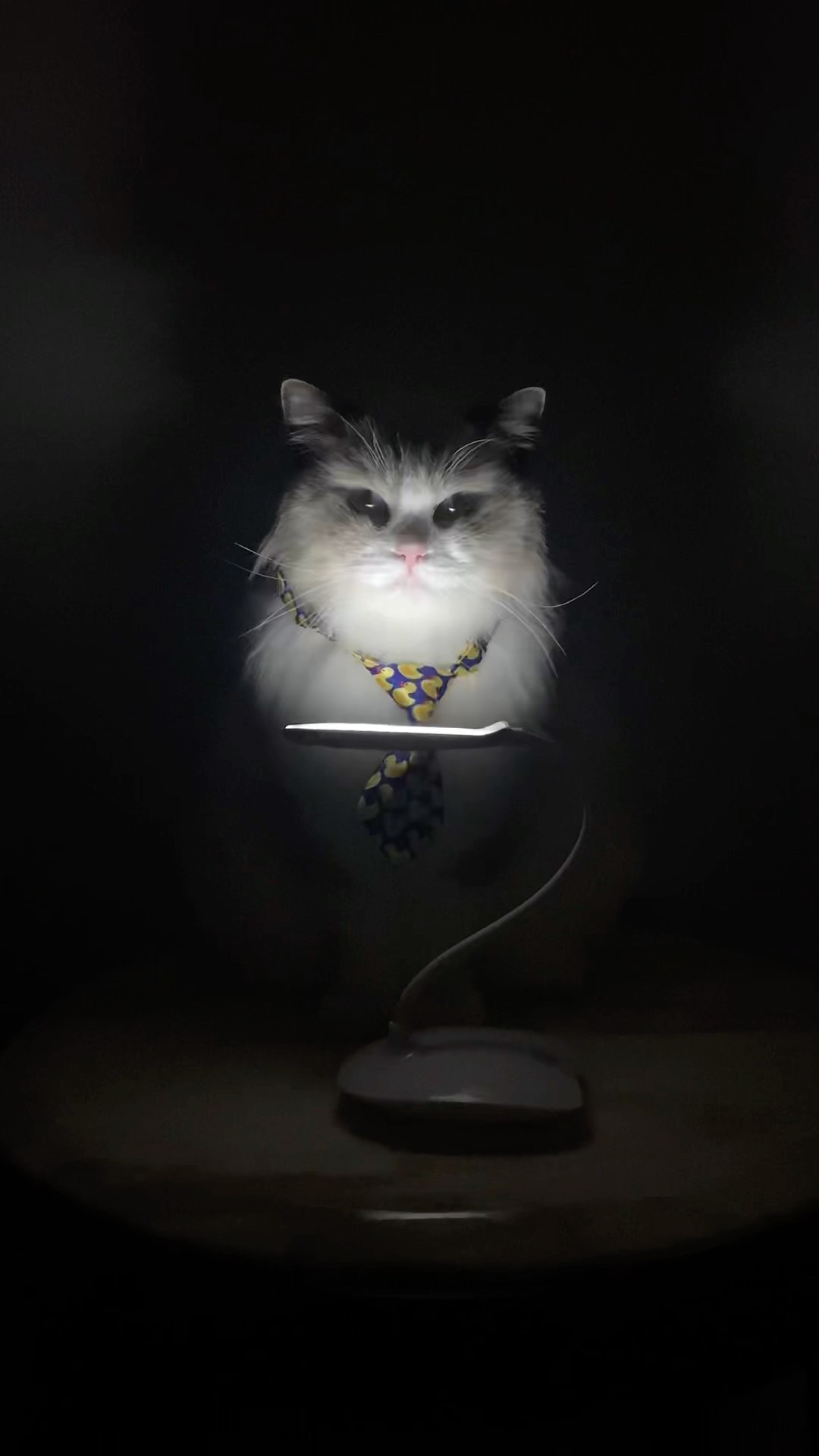 ? Beware, don’t mess with Puff, or he might just find you in your dreams! #PuffTheProtector