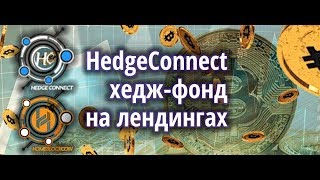 Hedgeconnect - хедж-фонд на лендингах. Дочка HomeBlockCoin? screenshot 1