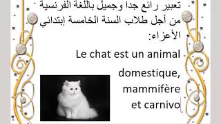 تعبير عن القطط بالفرنسية للسنة الخامسة ابتدائي