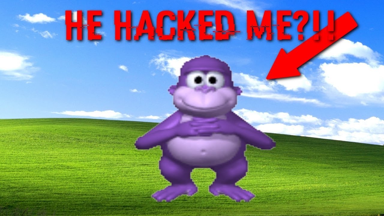 bonzi buddy virus investigation