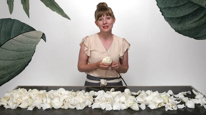 How much is a rose petal? (2023)