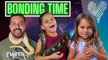 How to Pick Up and Hold Your Ball Python