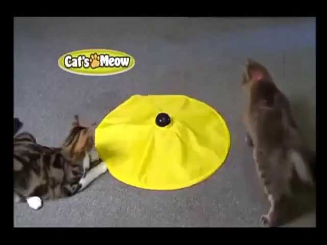 cat's meow toy not working