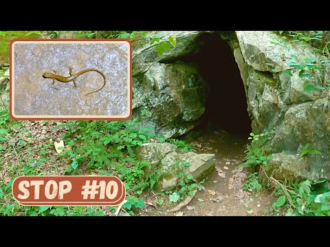 Sharpsburg Caves- July Road Trip Stop 10