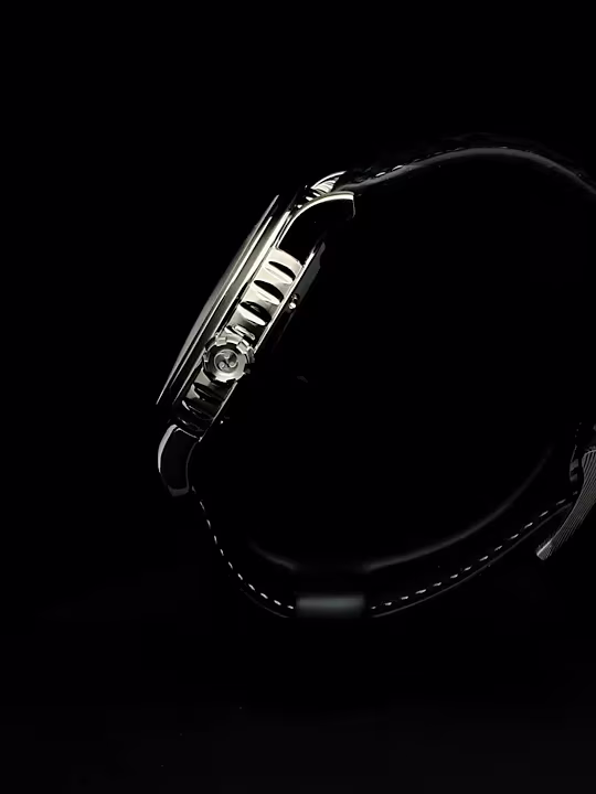 GoS Watches | Sarek Frost No.1