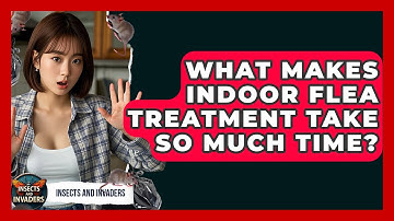 What Makes Indoor Flea Treatment Take So Much Time? - Insects and Invaders