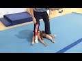 Rhythmic gymnastics trainingstretching