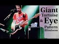 POND - Giant Tortoise &amp; Eye Pattern Blindness Live 2019