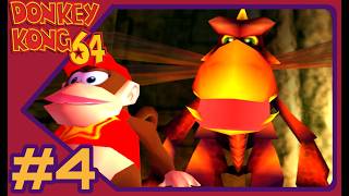 Donkey Kong 64 - Part #4: [Dragon Fly-By]