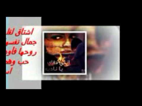 عشقت الليل ماجد المهندس