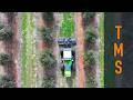 Agricultural mulcher | TMC CANCELA TMS-300D | with Merlo Treemme MM200B
