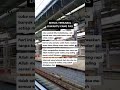 Diwaktu Yang Pas #Quotes #Trending #Shorts