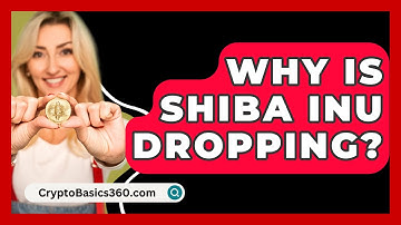 Why Is Shiba Inu Dropping? - CryptoBasics360.com