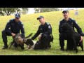 Cadaver Police Dogs Cadaver Police Dogs