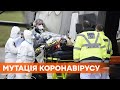 Британский мутировавший коронавирус уже во Франции. ЕС готовится начать массовые прививки