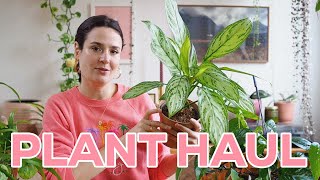 Plant Haul 2023 – 10 nouvelles plantes 🌿🪴