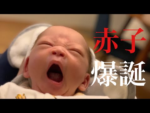 【ご報告】赤ちゃんが産まれました！！！