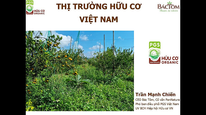 Hóa học hữu cơ trần mạnh bình pdf năm 2024