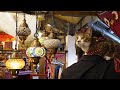 異国情緒あふれる雑貨屋さんを子猫と探索☆お外でちゅ~る堪能するゴマちゃん 【リキちゃんねる 猫動画】 キジトラ 猫のいる暮らし・ペット同伴・猫とお出かけ・マライカ・レインボーカフェ