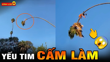 🔥 35 Khả Năng Phi Thường Của Con Người Khiến Cả Thế Giới Thán Phục I Kính Lúp TV