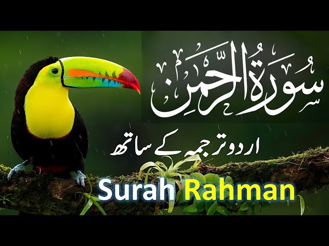 SURAH RAHMAN TARJUMA KE SATH QARI AL SHAIKH ABDUL BASIT ABDUL SAMAD class=