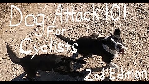 DOG ATTACK 101 for cyclists: 2nd Edition w/Aaron Smith/Gainesville, TX in Cooke County, Texas
