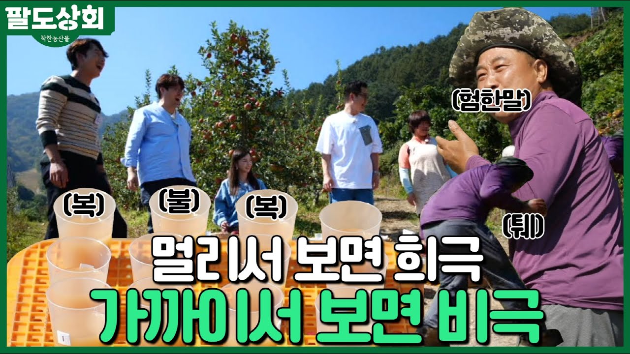 멀리서 보면 희극, 가까이서 보면 비극... '복불복'의 결말은? l 🚚 팔도상회 - YouTube