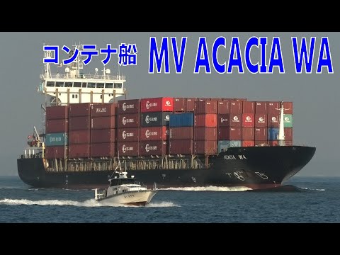 コンテナ船 MV ACACIA WA - Container ship - 2022NOV - Shipspotting Japan @JG2AS