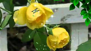 Lao Xao Mùa Xuân .