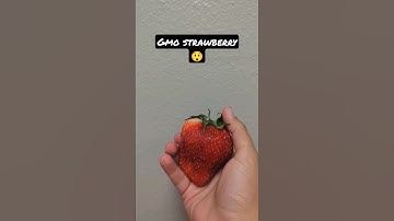 gmo vs non gmo strawberries 🍓#health #fit #strawberry #healthy #food #size #comparison #versus #vs