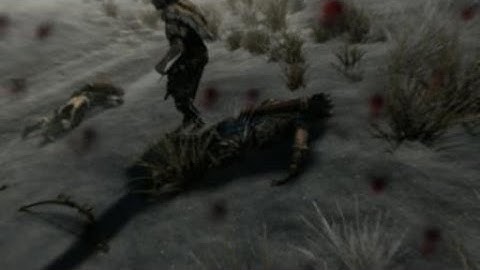 Fugitive/Hunter encounter