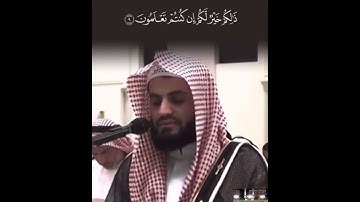 #سورةالجمعة #رعد_الكردي #تلاوةعراقية #تلاوات #قران_كريم #تلاوة_هادئة #قرآن #تجويدعراقي #تلاوةخاشعة