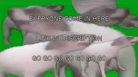 Official Discord Server Release | LINK IN DESCRIPTION