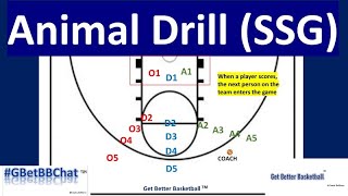 #FOCUSED: Animal Drill (Rebounding/Finishing SSG)--HIGHLY COMPETITIVE
