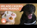 HELADO PARA PERROS - Helado casero en 5 minutos