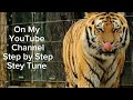 🐯 T Fod Tiger – Coming Soon | Powerful Art is On the Way#easy #wildlife #kingdomhearts