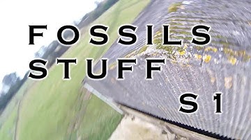 FOSSILS STUFF S1 \\ MAIDEN 3 PACKS