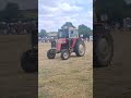 Massey Ferguson MF 590 classic tractor Rempstone steam rally 2025