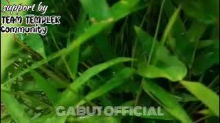 DJ ZAQUE YANG DIGUNAKAN BREWOG BASS ANTEP BIKIN TenggoroKAN PENGEN MUNTah