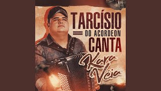 Video thumbnail of "Tarcísio do Acordeon - Peão De Vaquejada"