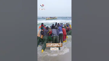 شواطئ البحر مصدر رزق أهالي مدينة نواكشوط المغربية 