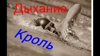 КАК НАУЧИТЬСЯ ПРАВИЛЬНО ПЛАВАТЬ КРОЛЕМ НА ГРУДИ С ДЫХАНИЕМ? HOW TO LEARN TO SWIM?(В ВИДЕО ПРЕДСТАВЛЕНО КАК НАУЧИТЬСЯ ПЛАВАТЬ КРОЛЕМ НА ГРУДИ С ДЫХАНИЕМ. ЭТО ВСЕГДА ПРОБЛЕМА. В ВИДЕО ПОКАЗАН..., 2015-12-23T12:14:01.000Z)