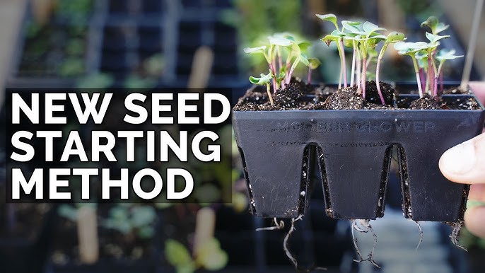 How to Start Seeds Indoors: The Complete Guide