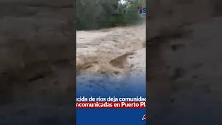 AHORA MISMO, puerto planta en caos #noticias #alofoke #opjaldia