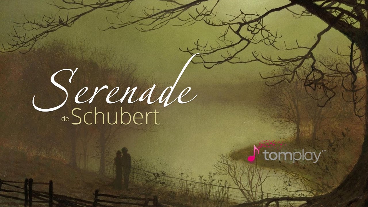 Schubert Serenade Standchen D 957 Youtube