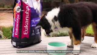 Eukanuba Puppy Food Range: The Best Food for Growing Pups