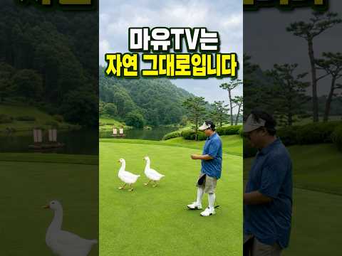 #마유 #골프 #골프스타 #뉴스톤