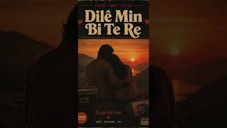 “Dilê Min Bi Te Re” - 70S Vintage Anatolian Muzîka Kurdî